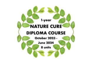 Nature Cure Diploma- Weekend 3 of 8 Leaves
