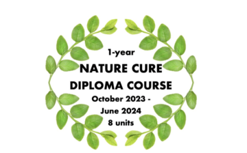 Nature Cure Diploma- Weekend 4 of 8 Leaves